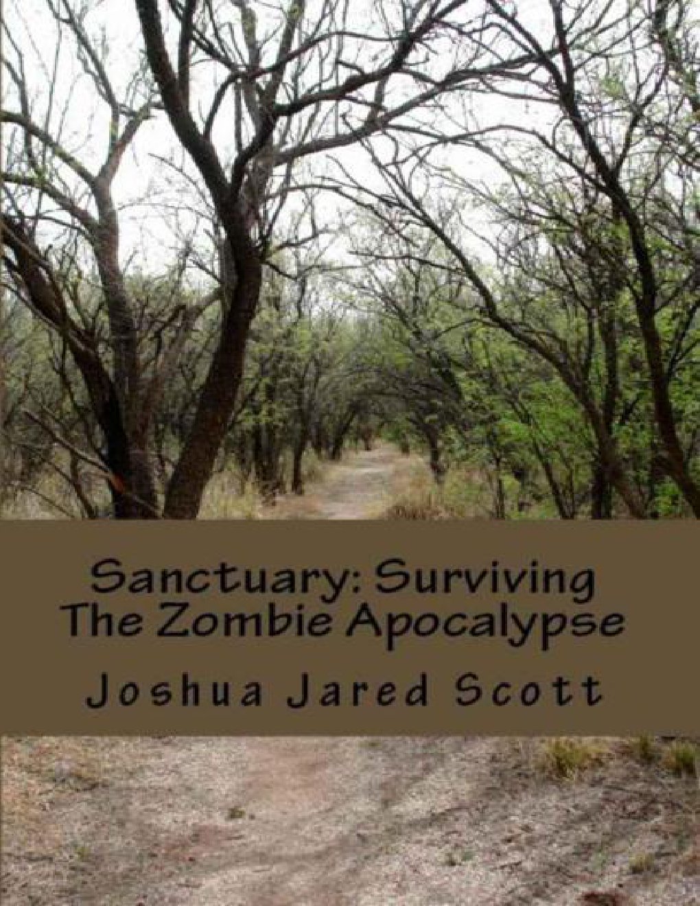 Cover of Surviving The Zombie Apocalypse (Book 1): Sanctuary