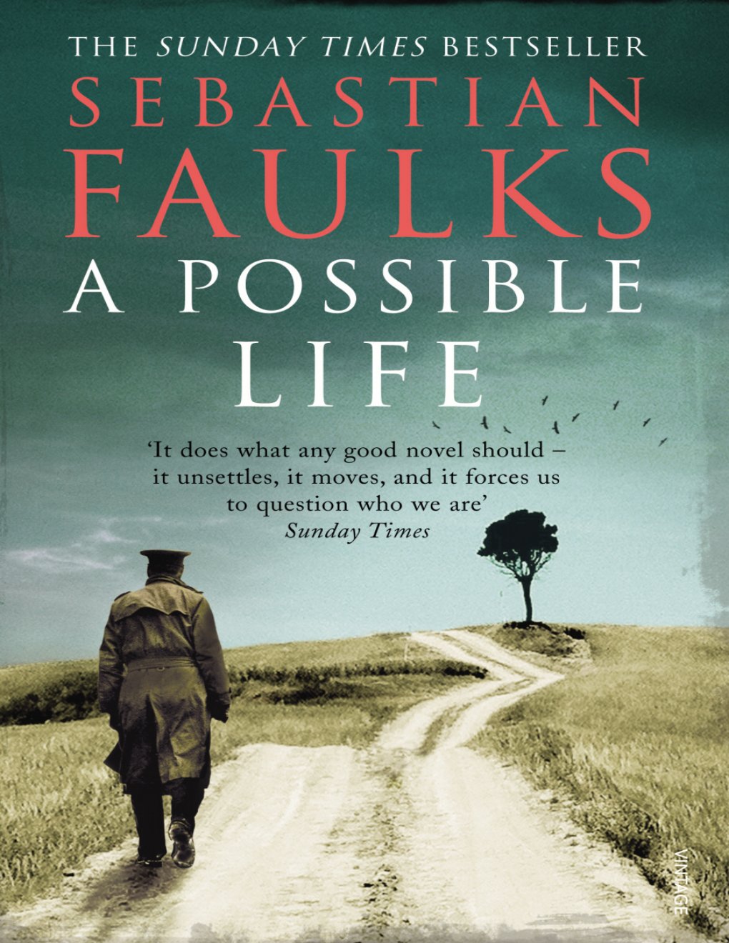 Cover of A Possible Life