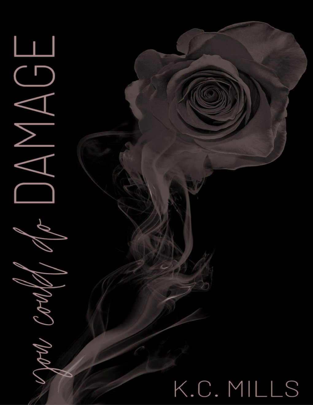 Cover of You Could Do Damage