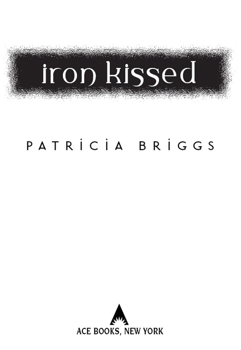 Cover of Iron Kissed (2008)