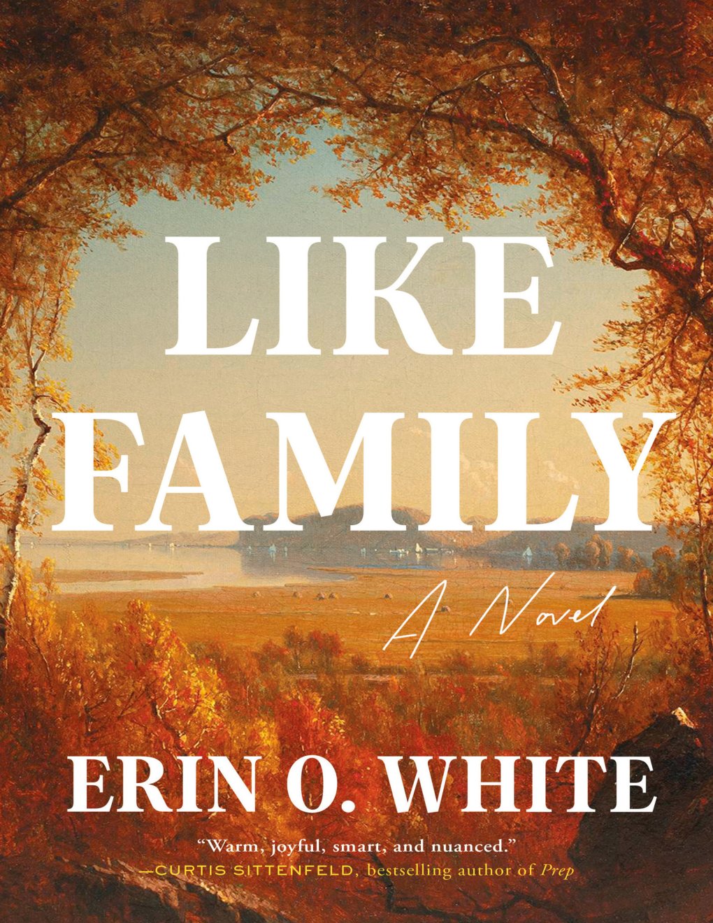 Cover of Like Family: A Novel