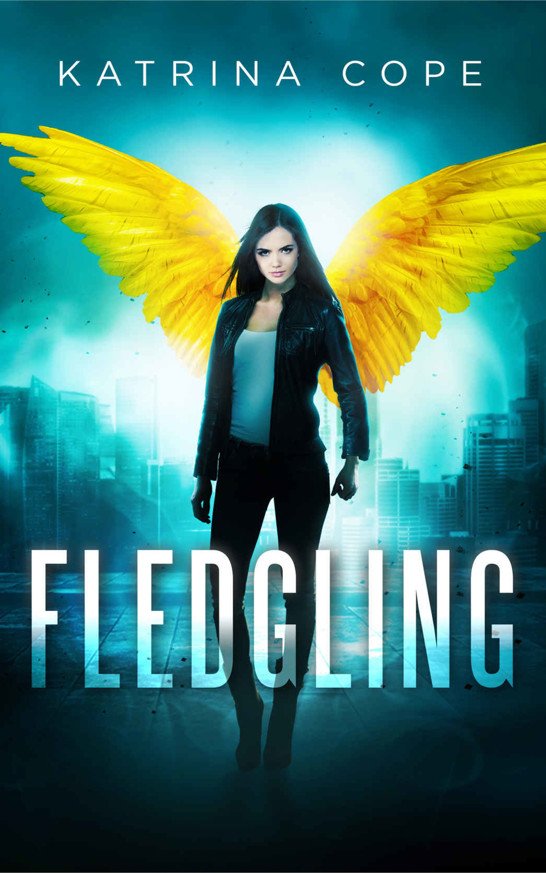 Cover of Fledgling: Book 1 (Afterlife)