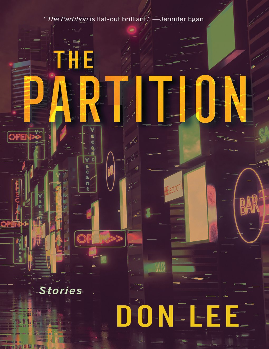 Cover of The Partition