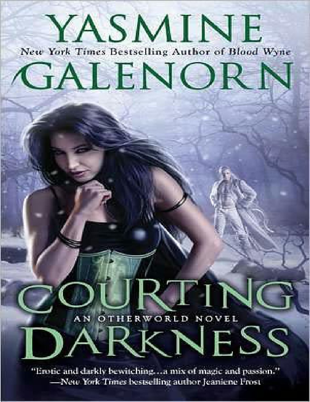 Cover of Courting Darkness
