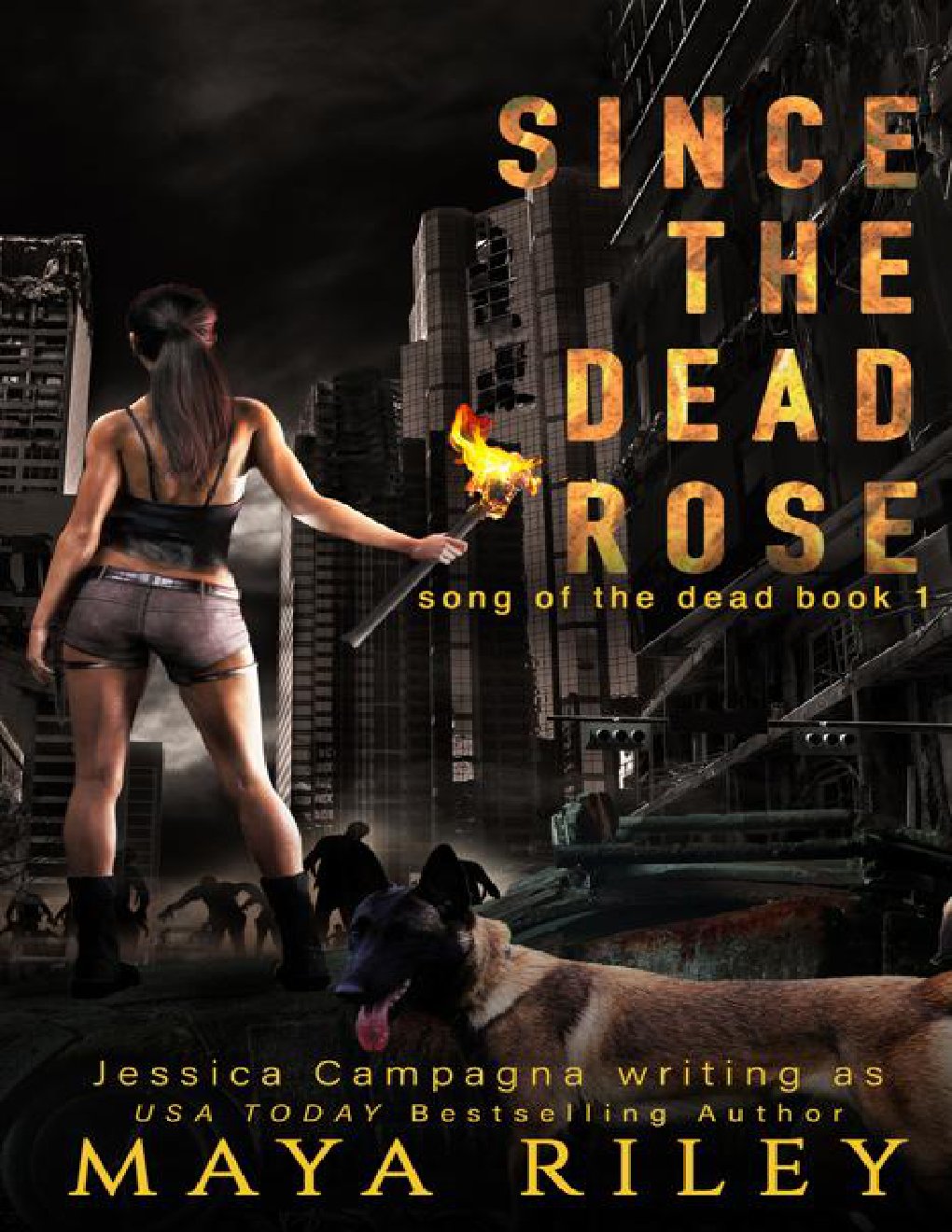 Cover of Since The Dead Rose (2024)
