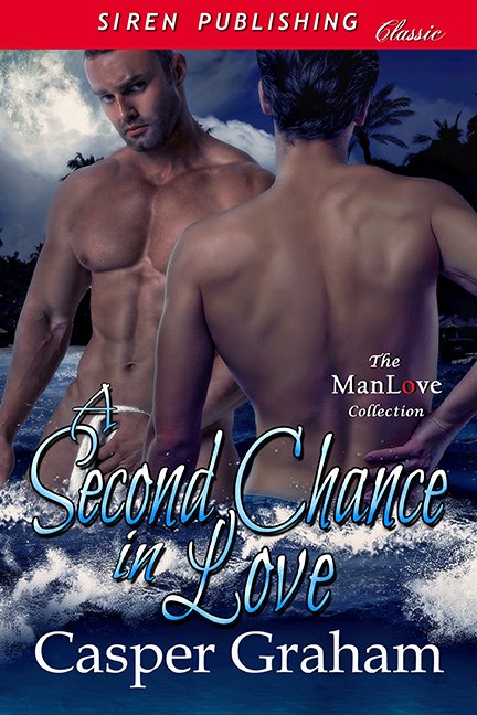 Cover of A Second Chance in Love