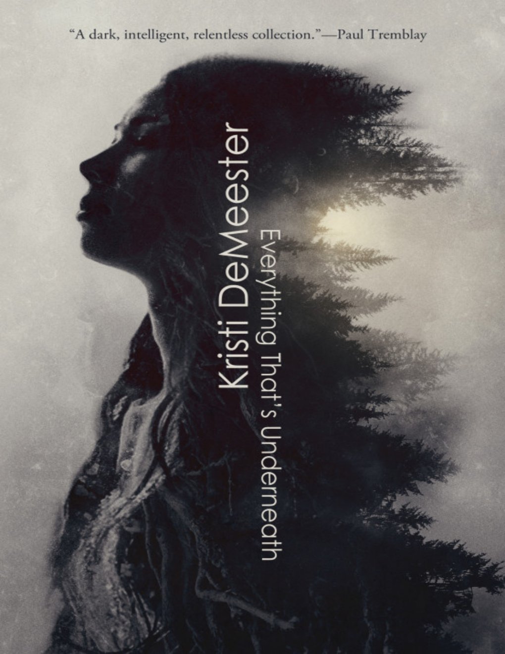 Cover of Everything That's Underneath