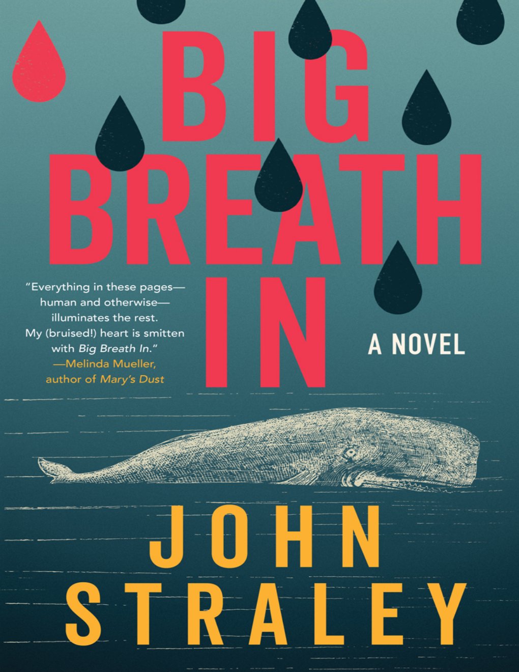 Cover of Big Breath In