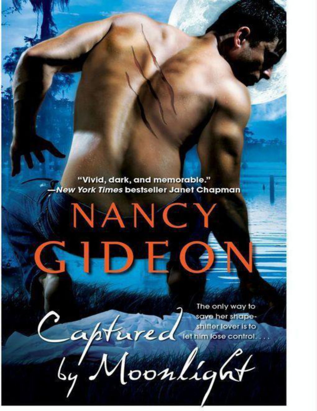 Cover of Captured by Moonlight (2010)