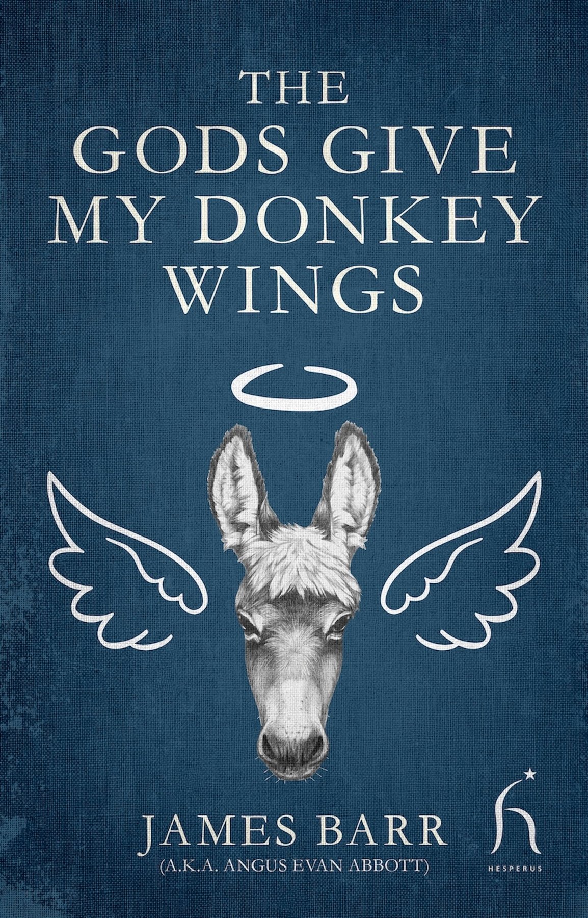 Cover of The Gods Give My Donkey Wings