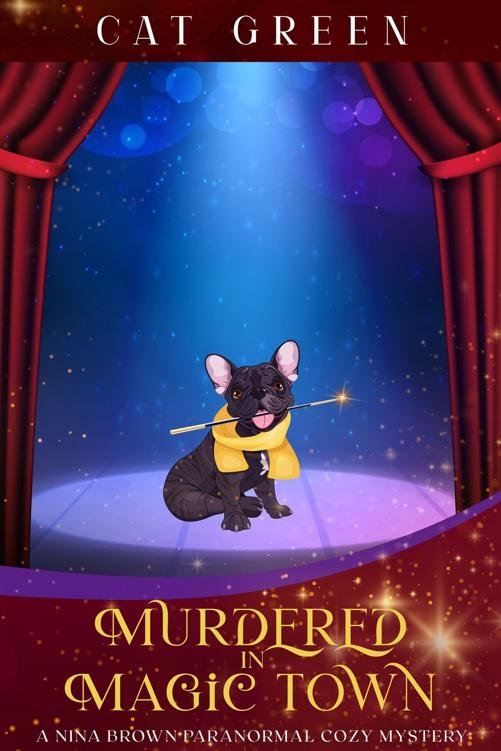 Cover of Murdered in Magic Town
