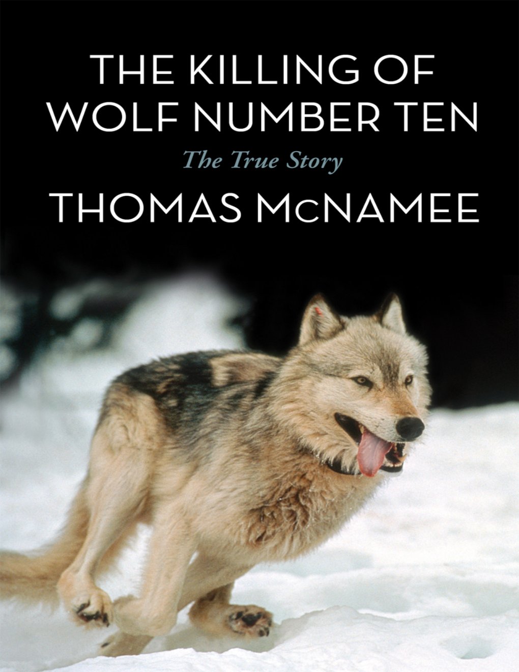 Cover of The Killing of Wolf Number Ten