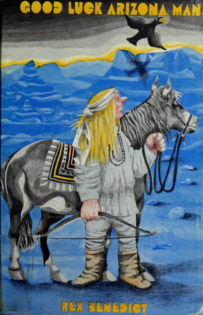 Cover of Good luck Arizona man