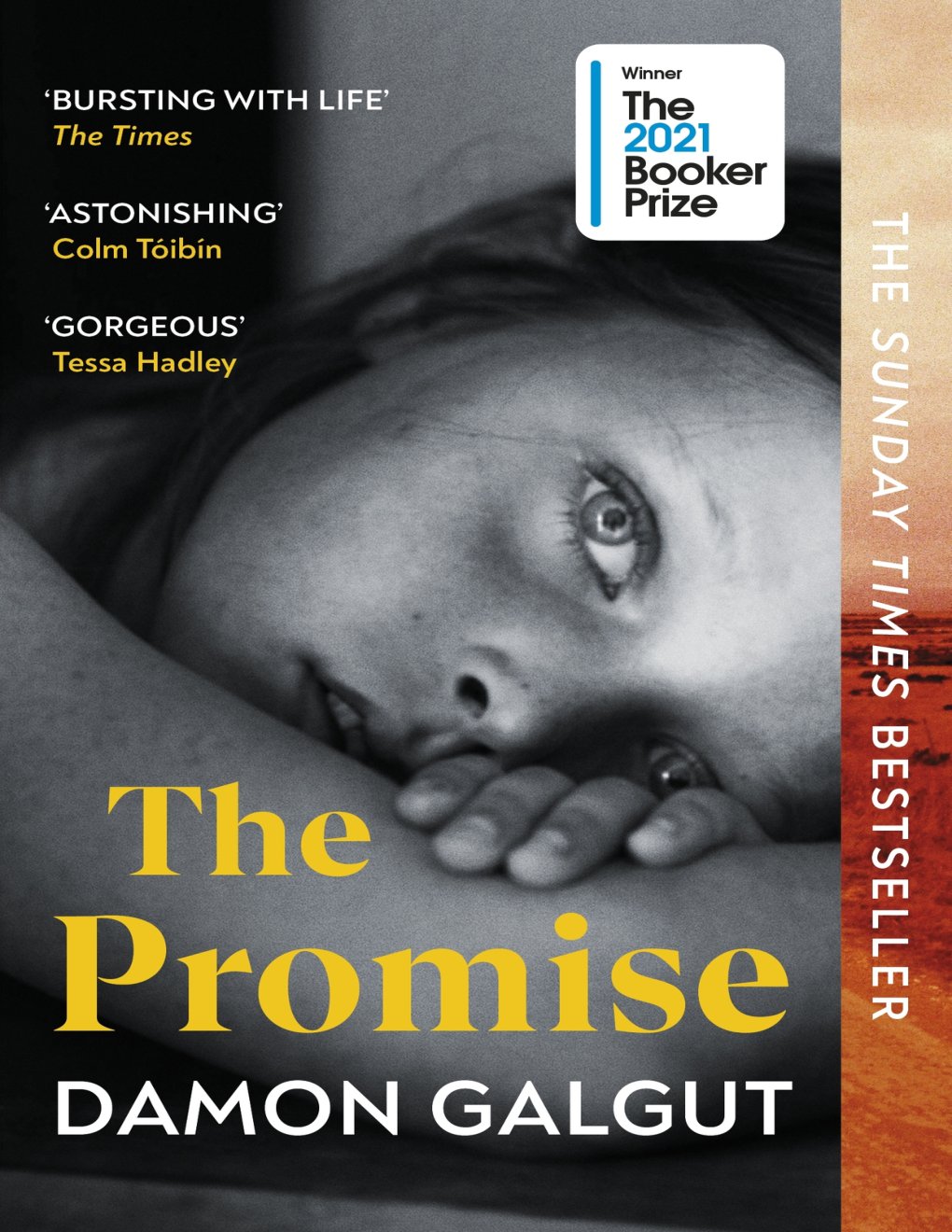 Cover of The Promise