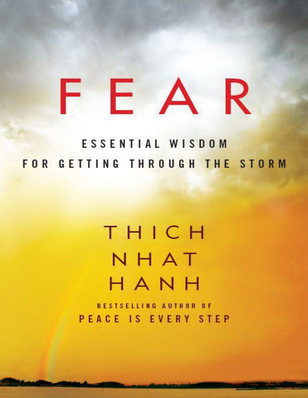 Cover of Fear- Essential Wisdom for Getting Through the Storm (2000)