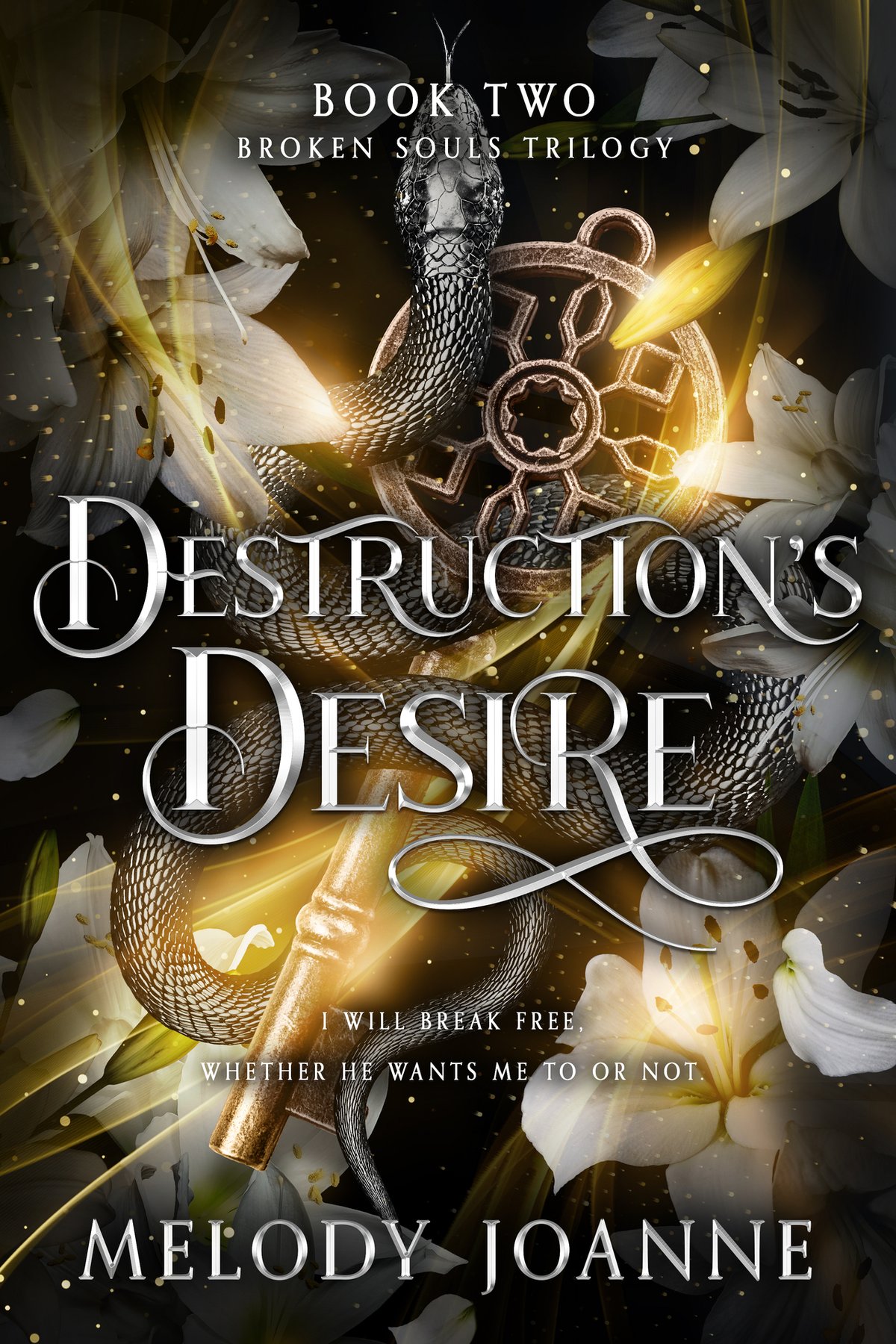 Cover of Destruction's Desire (Broken Souls Trilogy Book 2)