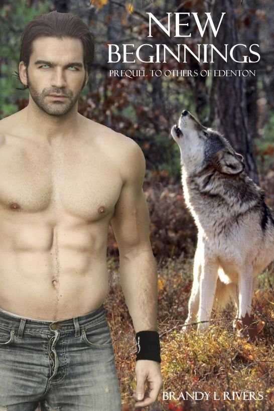 Cover of New Beginnings