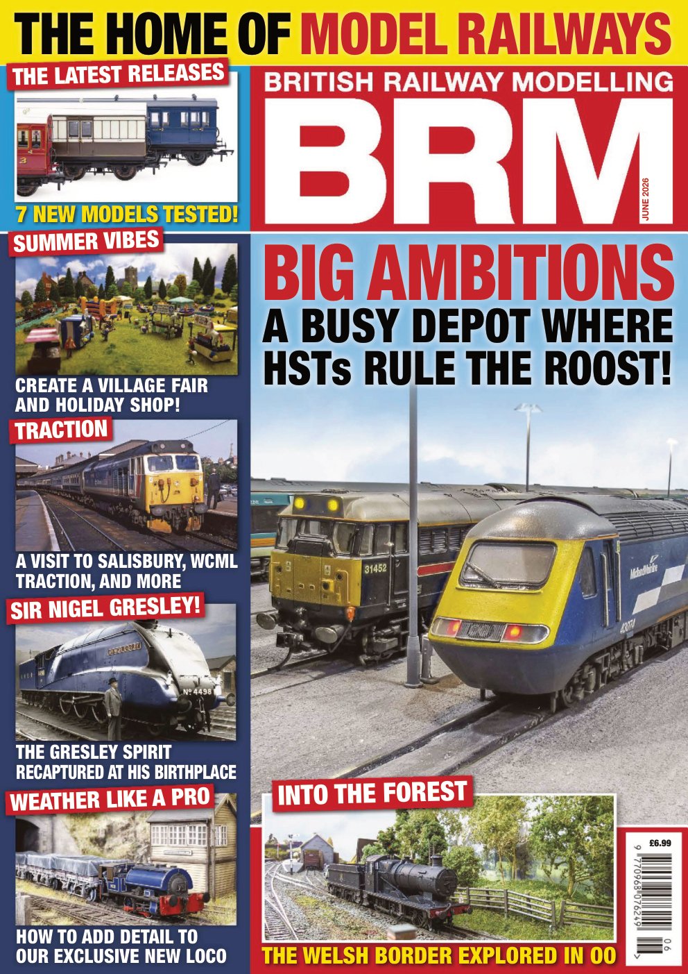 Cover of BIG AMBITIONS