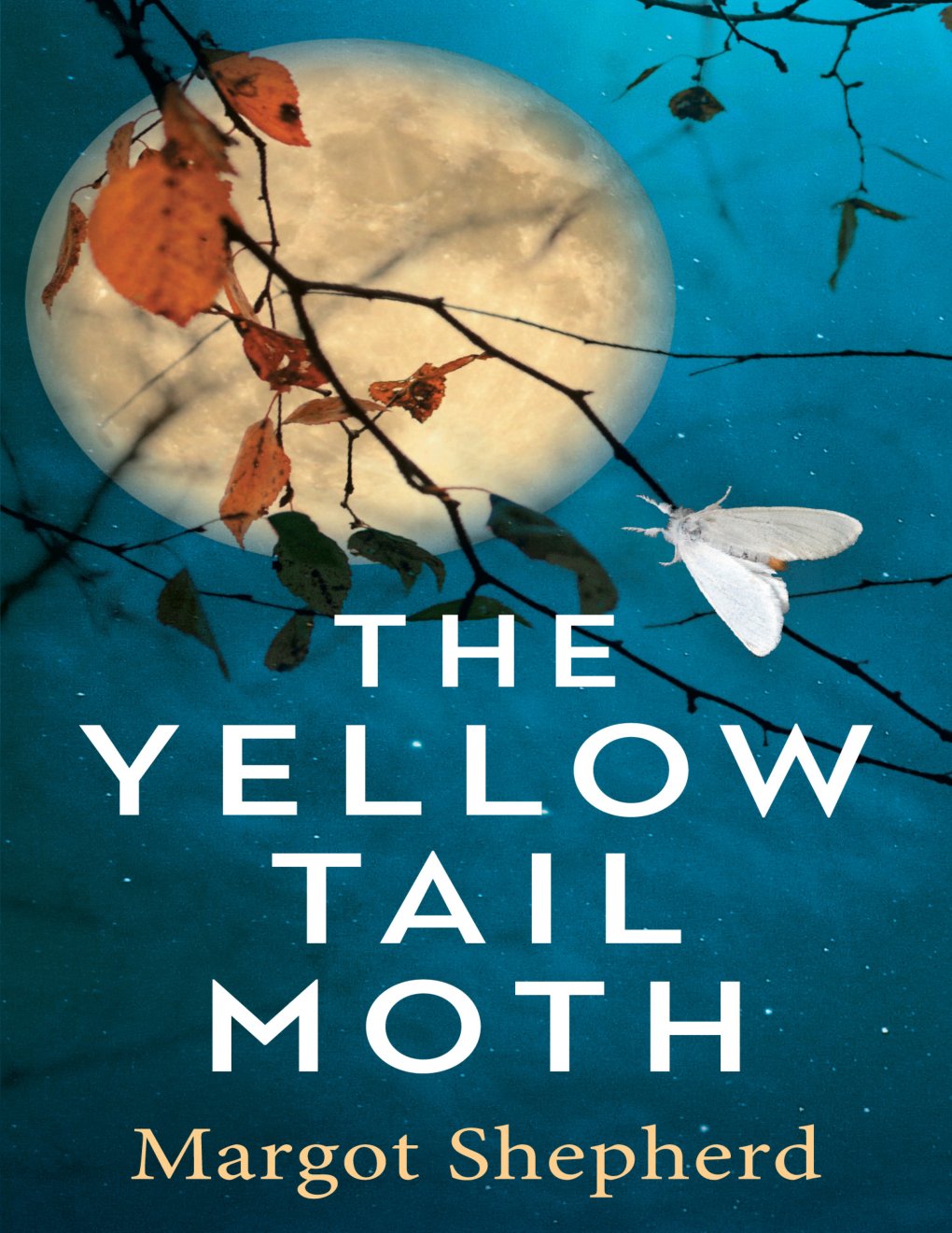 Cover of The Yellow Tail Moth