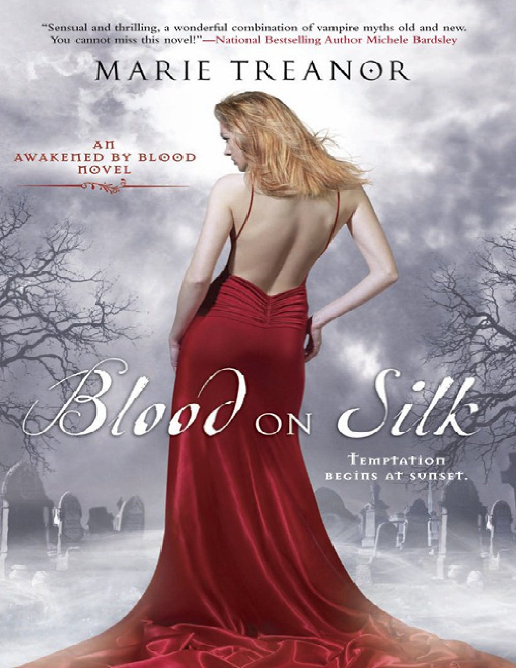 Cover of Blood on Silk