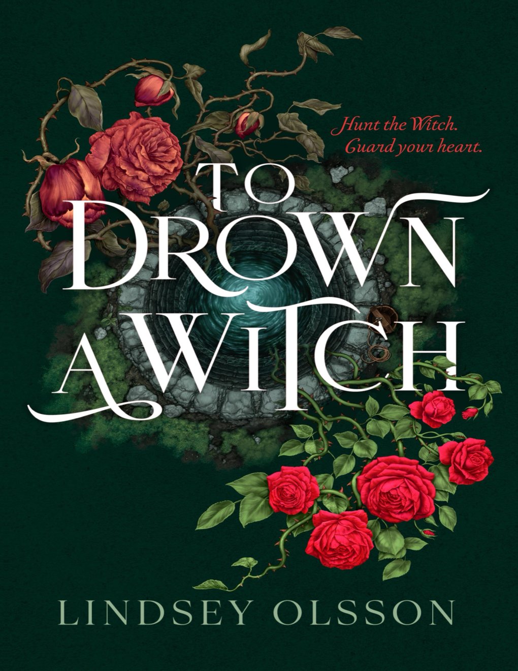 Cover of To Drown a Witch