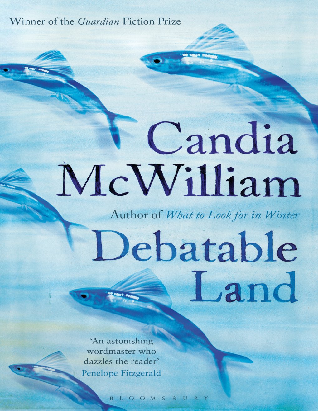 Cover of Debatable Land