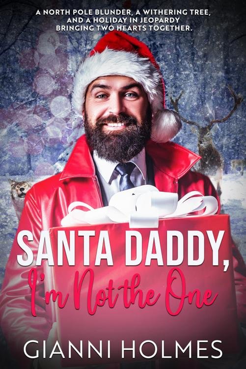 Cover of Santa Daddy, I'm Not the One (2024)