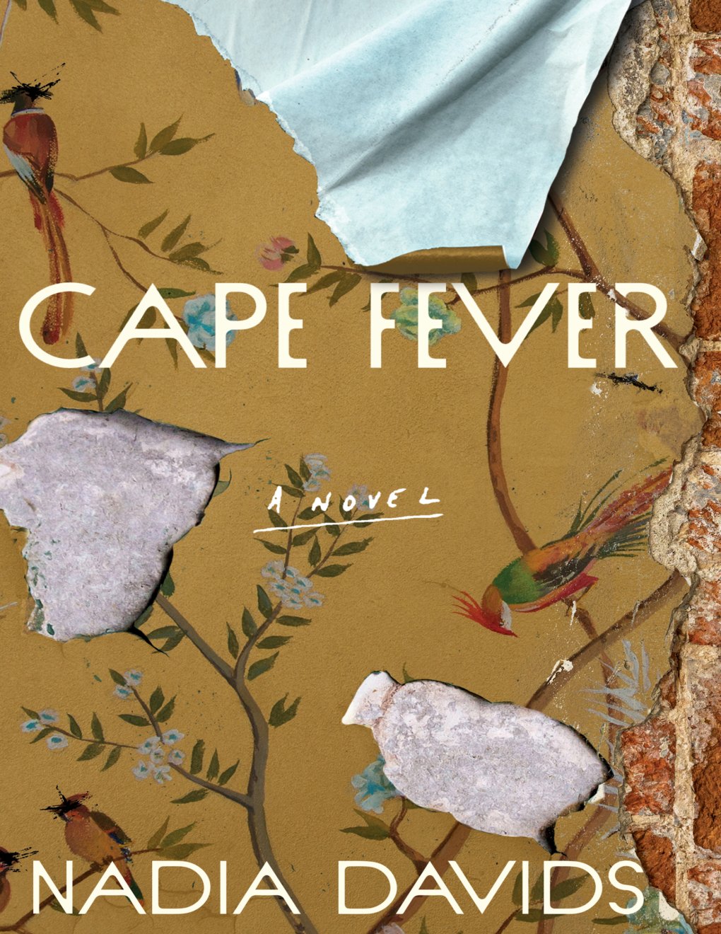 Cover of Cape Fever: A Novel