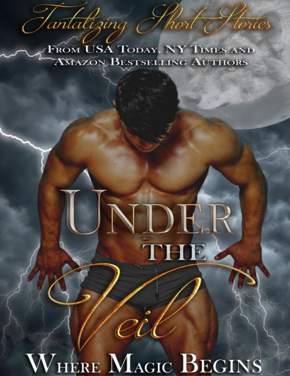 Cover of Under the Veil- Tantalizing Short Stories