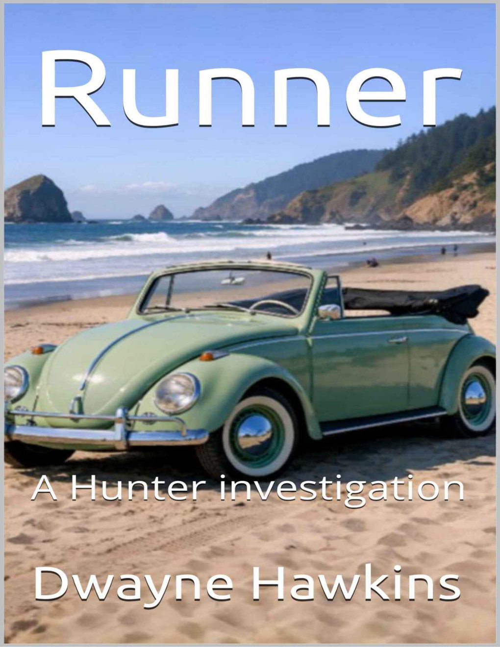 Cover of Runner: A Hunter investigation