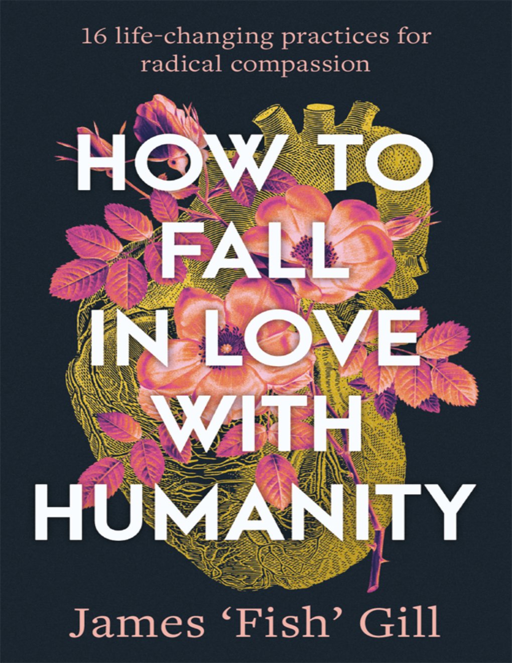 Cover of How to Fall in Love with Humanity