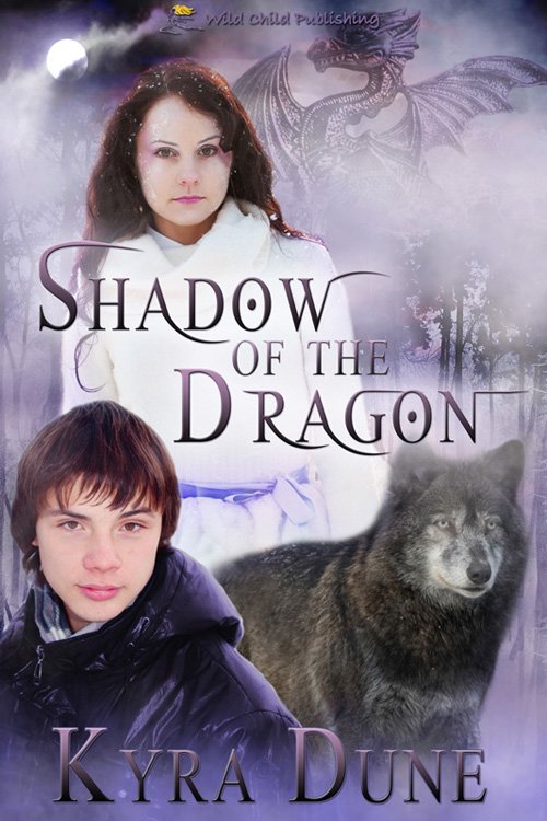 Cover of Shadow of the Dragon (2012)