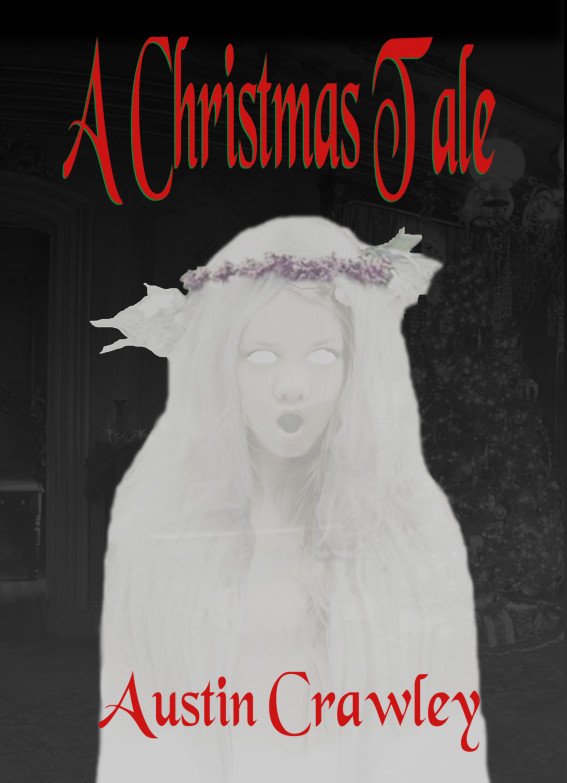 Cover of A Christmas Tale