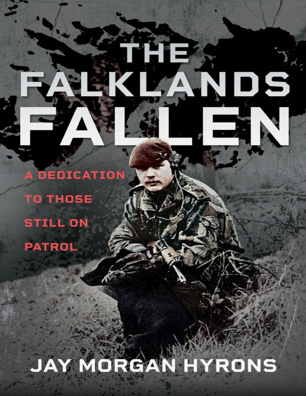 Cover of The Falklands Fallen