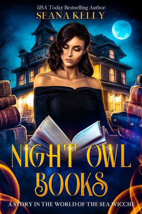 Cover of Night Owl Books (2024)