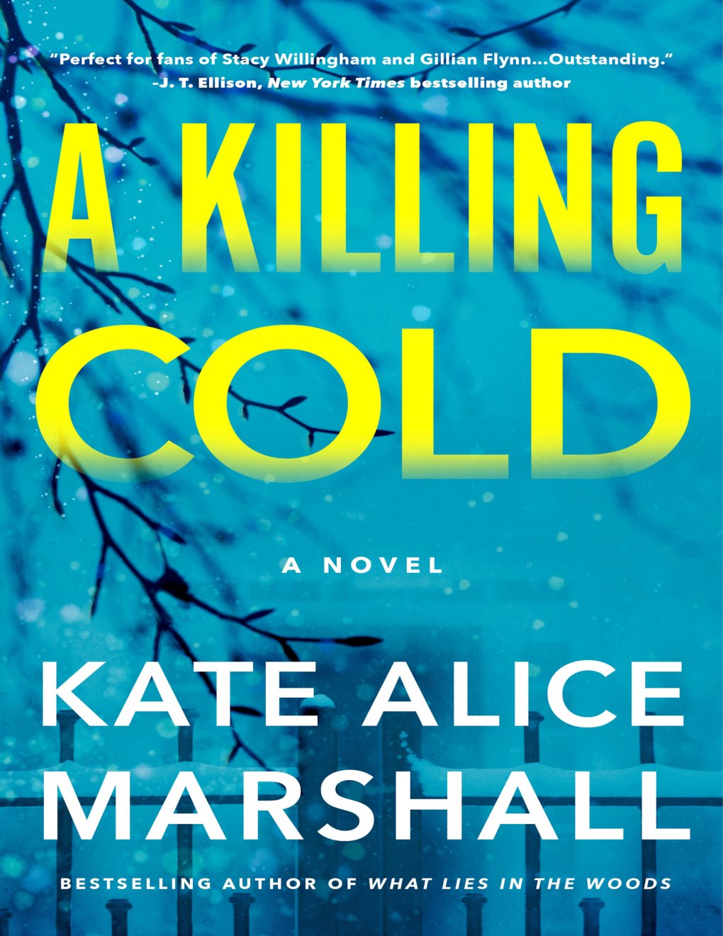 Cover of A Killing Cold