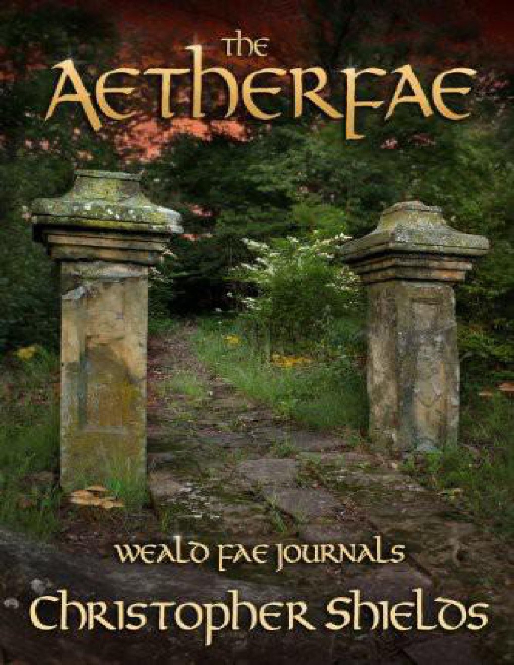 Cover of The Aetherfae