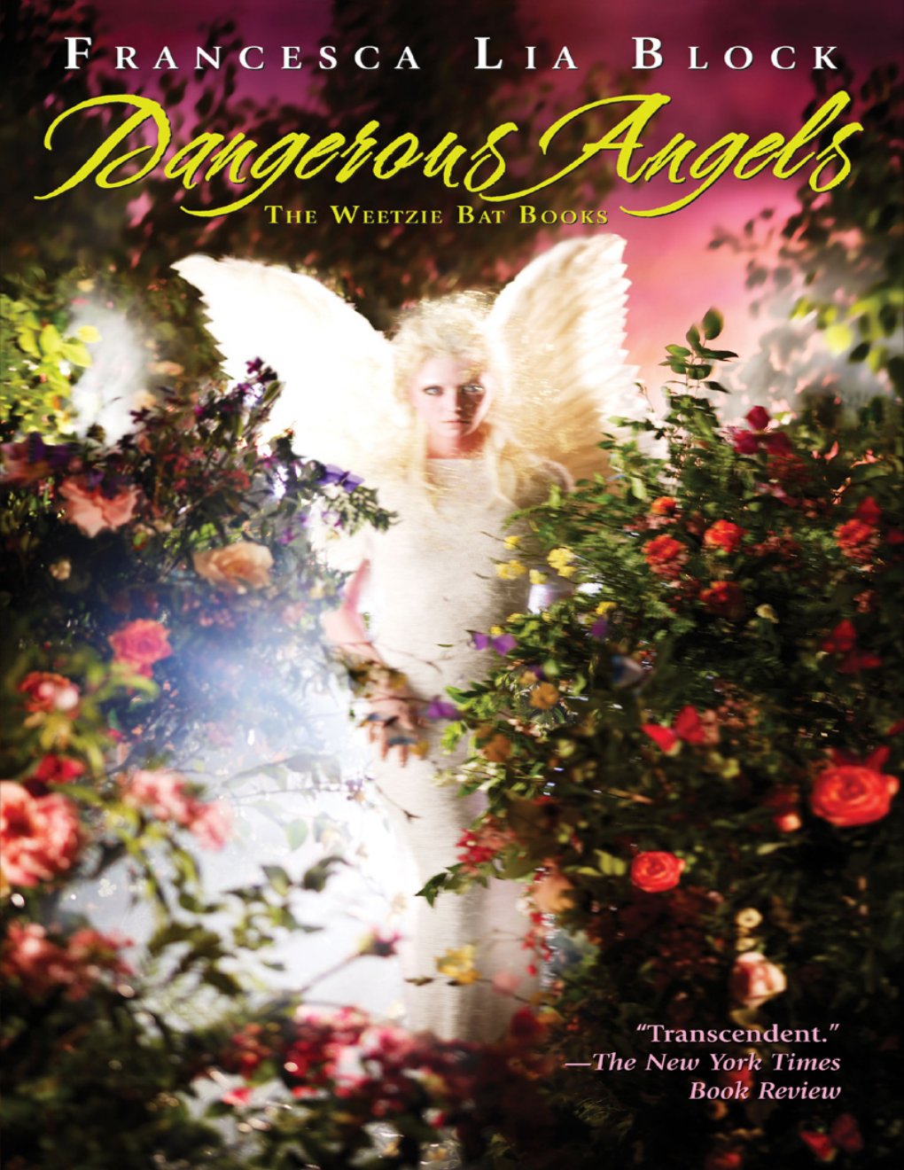 Cover of Dangerous Angels