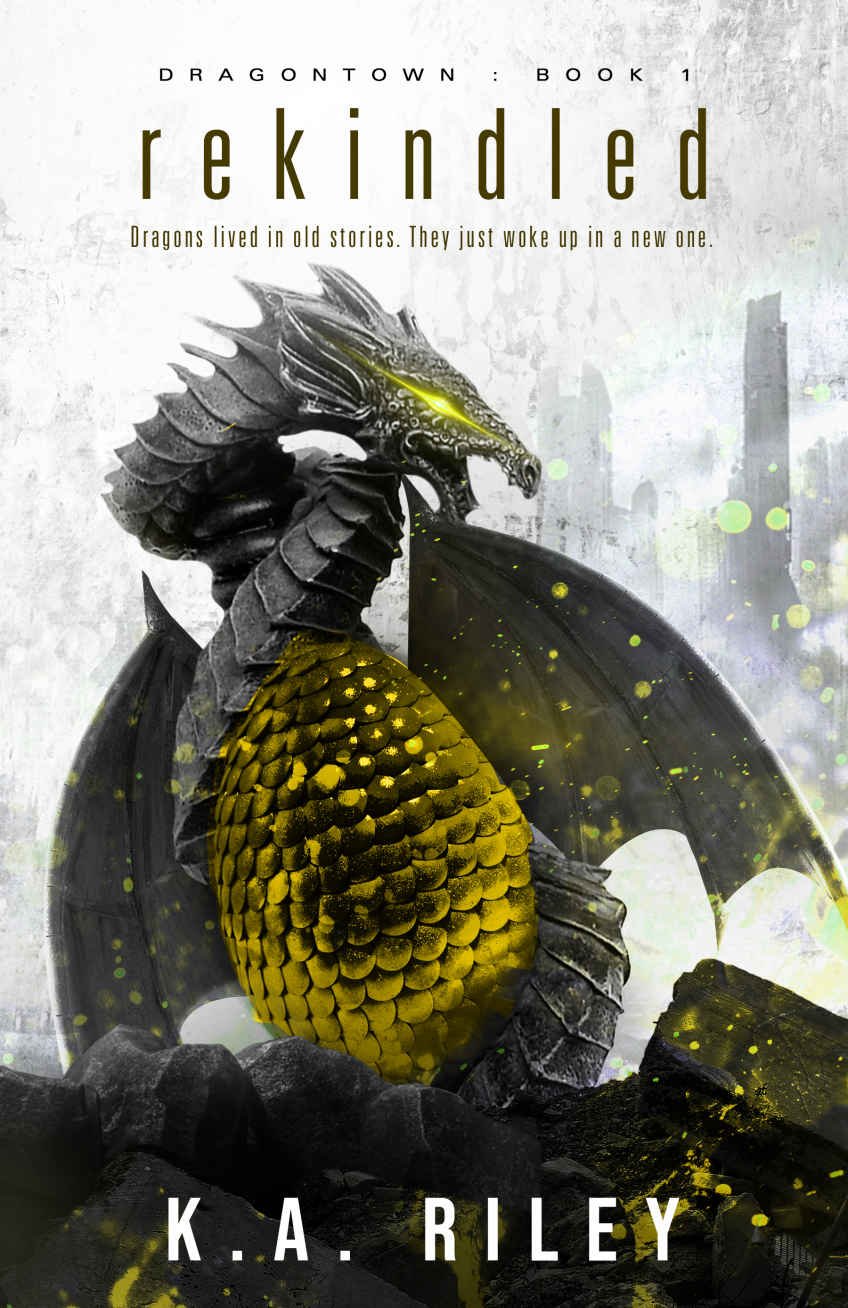 Cover of Rekindled (Dragontown Book 1)