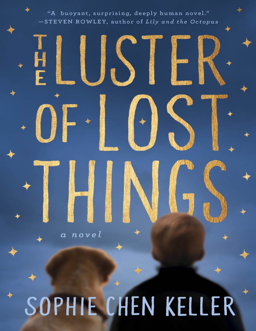 Cover of The Luster of Lost Things (1838)