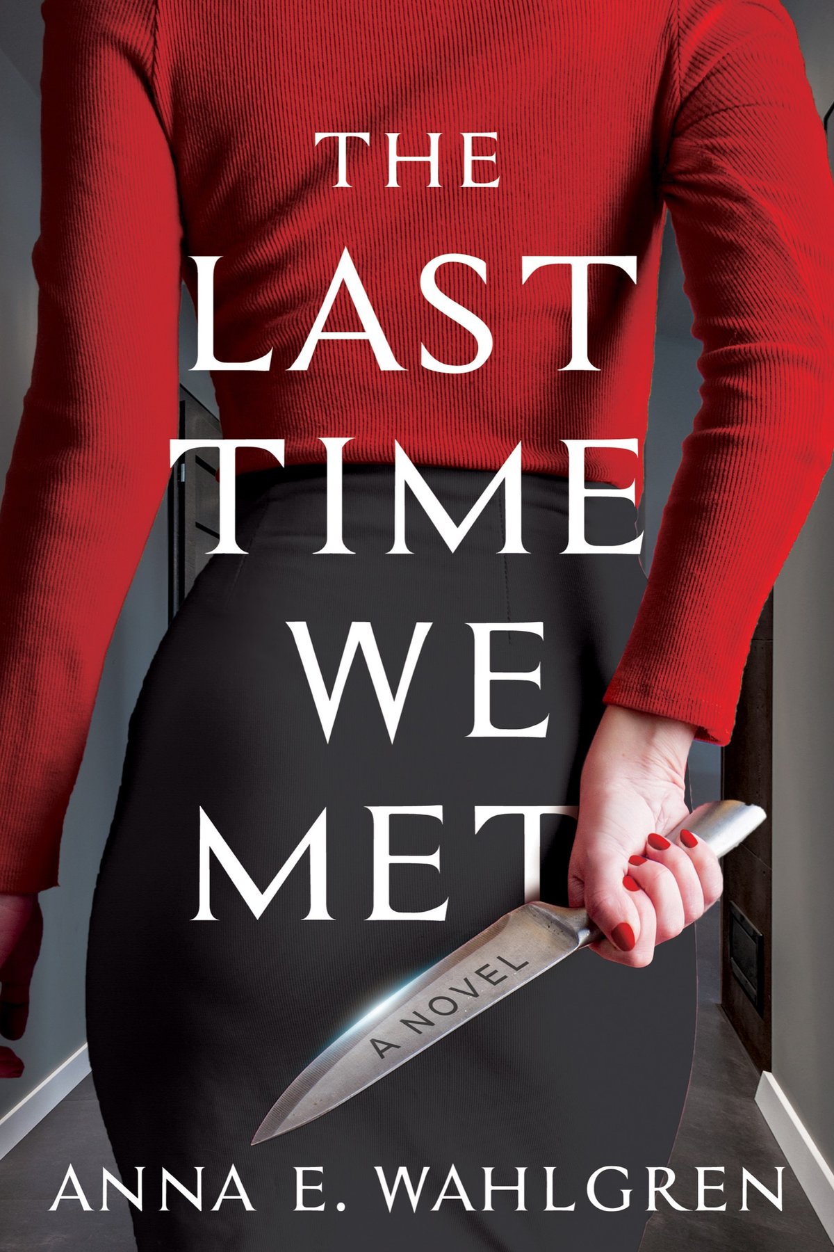 Cover of The Last Time We Met