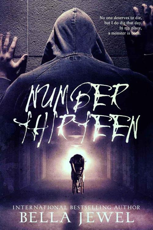 Cover of Number Thirteen