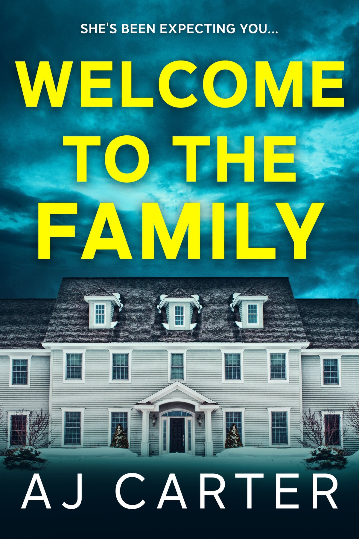 Cover of Welcome to the Family