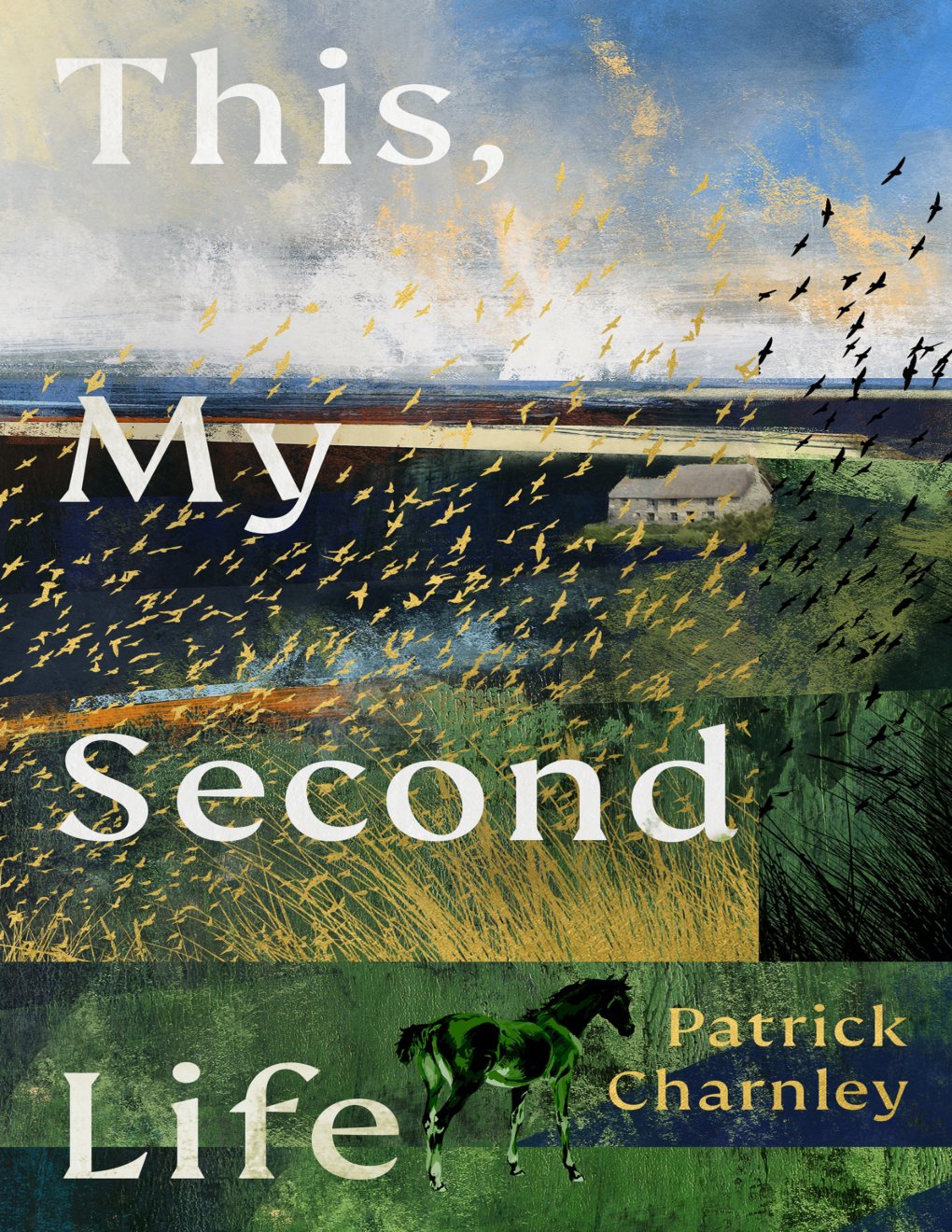 Cover of This, My Second Life