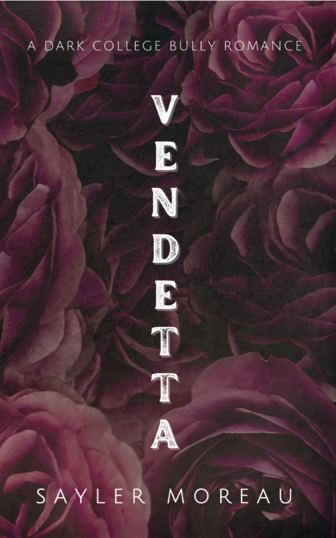 Cover of Vendetta- A Dark College Bully Romance (2025)