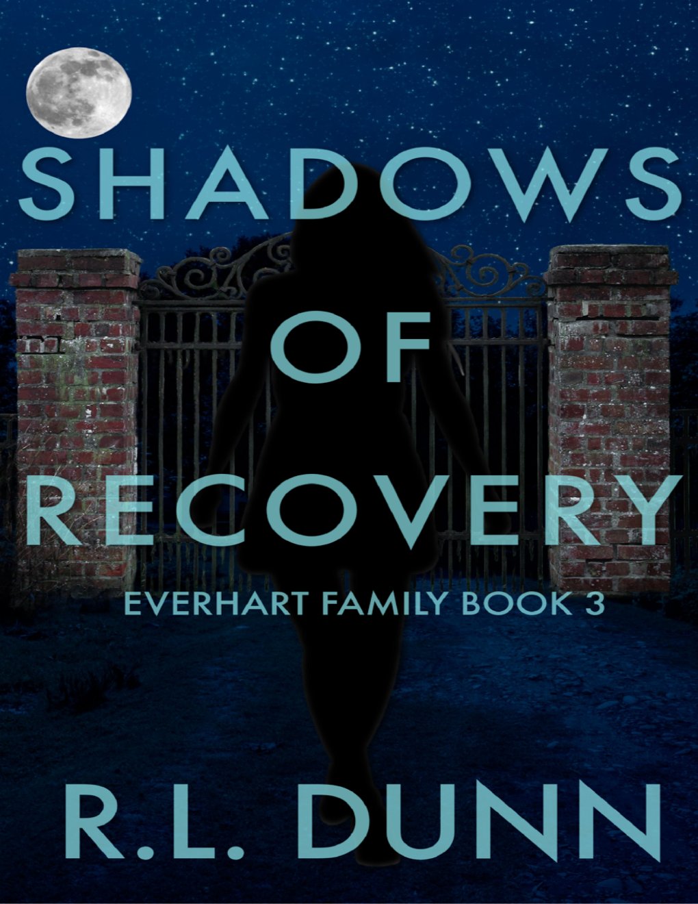 Cover of Shadows of Recovery