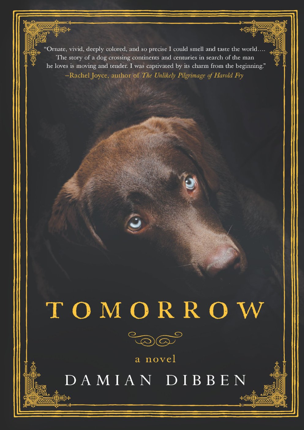 Cover of Tomorrow