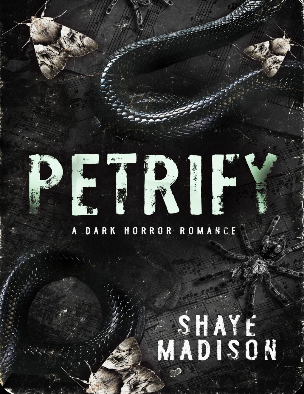 Cover of Petrify: A Dark Horror Romance