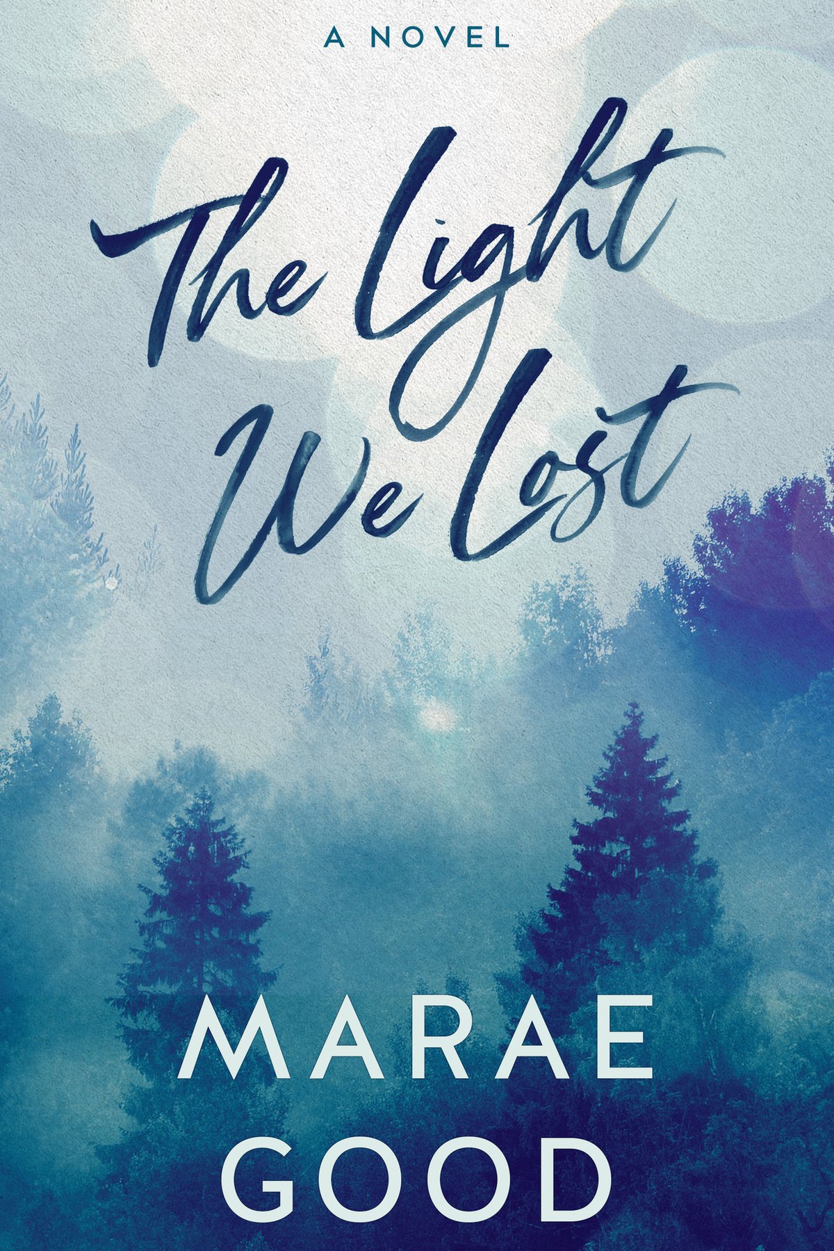 Cover of The Light We Lost (Lost and Found in Wallowpine Book 2)