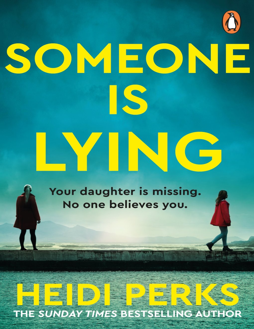 Cover of Someone is Lying